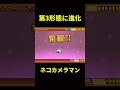 ネコカメラマン #にゃんこ大戦争 #thebattlecats