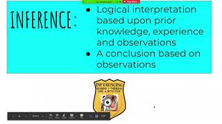 Observation vs. Inferences Mini Lesson