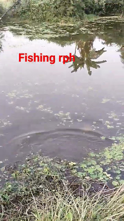 fiahing#fishingvillageboy #bdfishinglife #fisherman #bigfish #fishinglife #