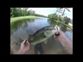 Fly Fishing For Bass