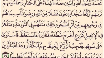 آخر سورة الفتح ... الشيخ ماهر المعيقلي.