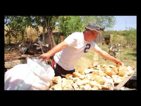 საქველმოქმედო ფონდი ' ზღვაში წვეთი