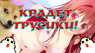 СОБАКА КРАДЕТ ТРУСЫ У ДЕВУШЕК!!!! - Montaro СОБАКА КРАДЕТ ТРУСЫ У ДЕВУШЕК!!!! - Montaro