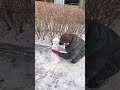 눈 사람 동심 파괴