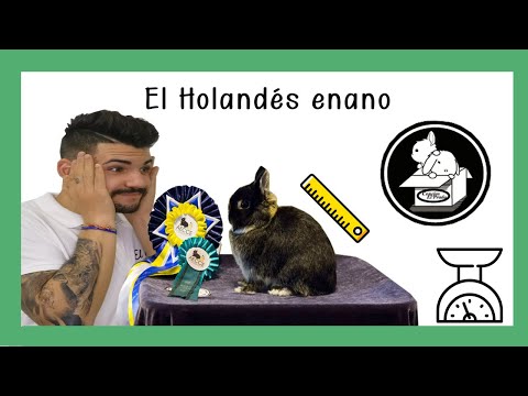 Video: Conejo de Sallander