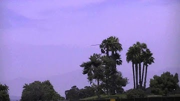 how to how i learned nose in hover trex 450 v2 flybar old school without training balls