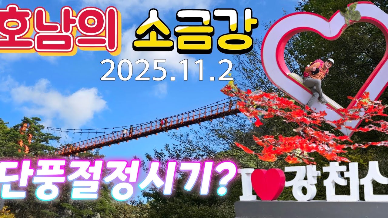 #강천산 단풍 얼마나 물들었을까?/#강천산 산행정보