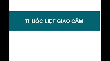 (2.2) THUỐC CƯỜNG + LIỆT " GIAO CẢM " ( DƯỢC LÝ 1)- CÔ TRANG