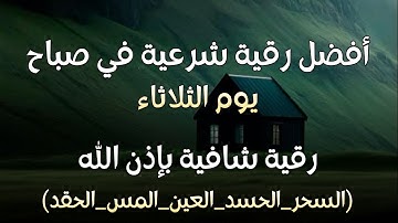 أفضل رقية شرعية في صباح يوم الاثنين علاج الحسد_السحر_العين _حفظ وتحصين للمنزل _القارئ علاء عقل