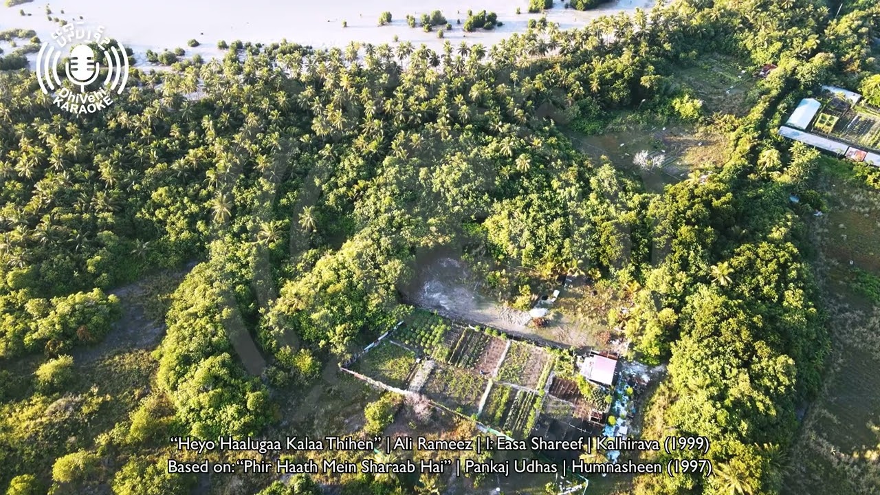 Heyo Haalugaa Kalaa Thihen (Remix) - Karaoke - 4k UHD - Thaana