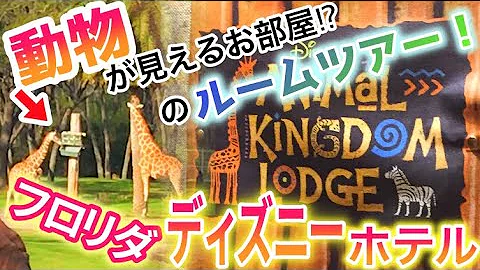 تحميل アニマル キングダム