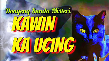 Dongeng Misteri Kawin Ka Ucing | PC D