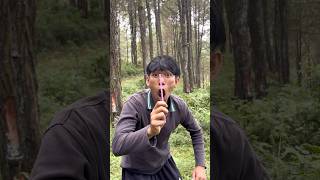 how to make an emergency trumpet in the wild #camping #survival #bushcraft #outdoors