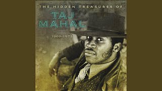 Watch Taj Mahal I Pity The Poor Immigrant video