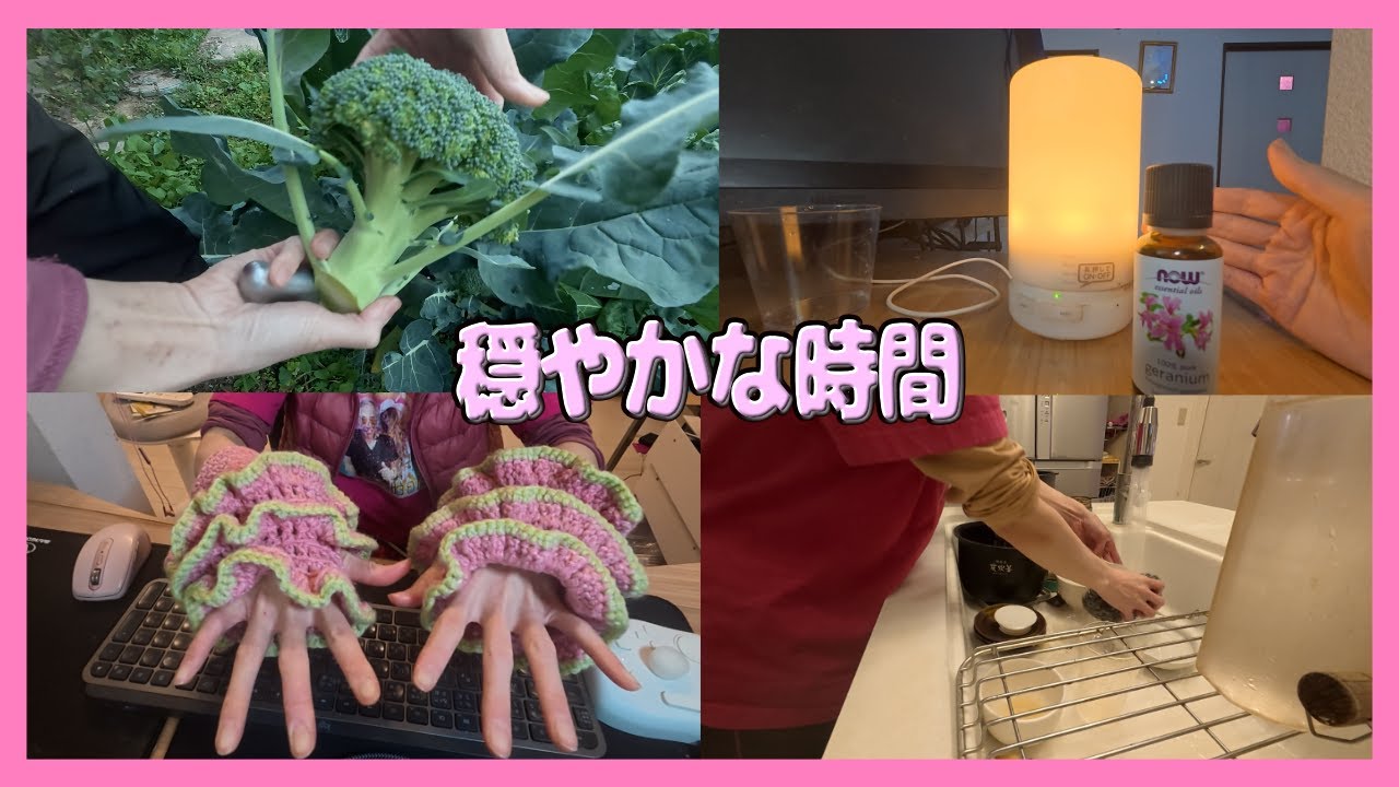 冷凍ストックパンを作ります｜友達からのプレゼント