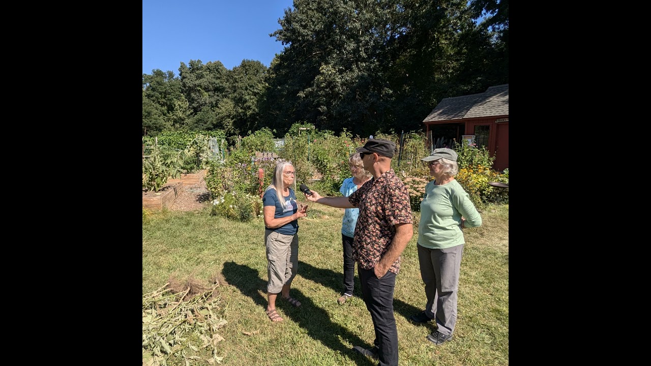 September 5, 2024: Growth spurts