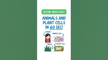 GCSE Biology - Animal & Plant Cells in 60 seconds! 🌱🐾