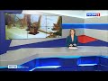 Вести-Волгоград. Выпуск 28.10.20 (9:00)