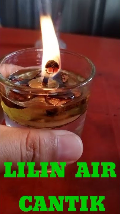 Kenal Lilin Air Cantik ini? Mengapa Bisa Menyala?#shorts #shortsbiology #shortsVideo @Cahayakuy19