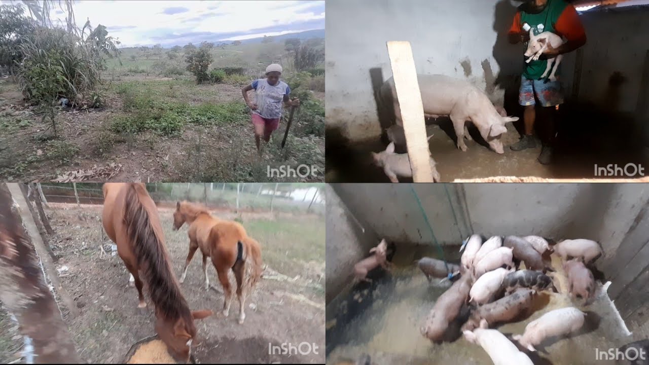 Hoje foi mais um  dia que eu fiz de tudo um pouco