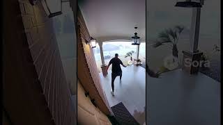 Ring Doorbell Captures Jake Pauls Cat Flying Away In Hurricane Winds And He Leaves Her
