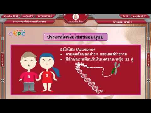 โครโมโซม ตอนที่ 2 - สื่อการเรียนการสอน วิทยาศาสตร์ ม.3