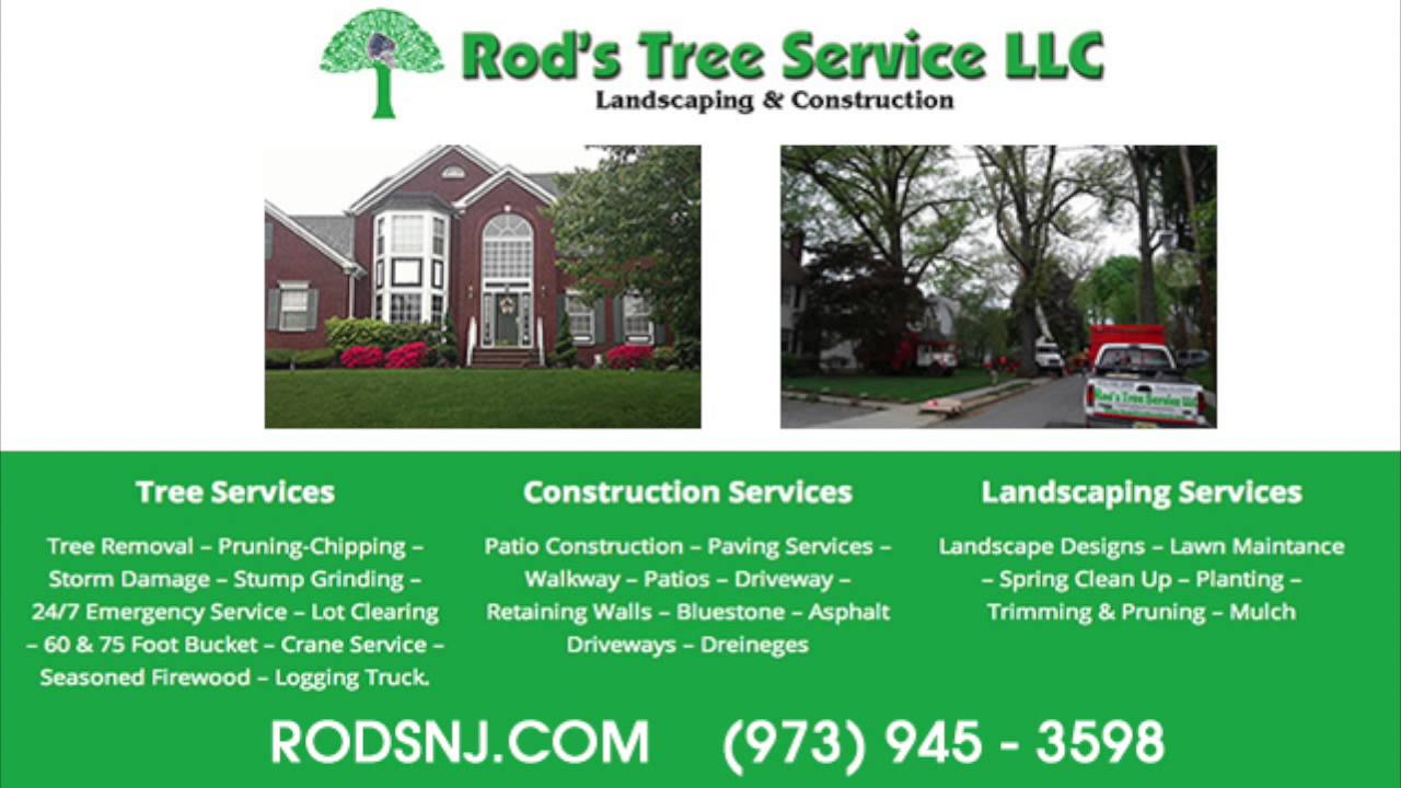 Morris County NJ Tree Removal Company