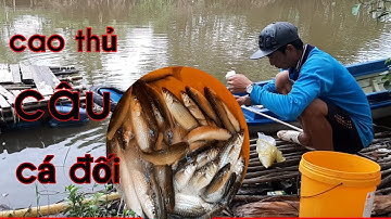 Câu cá đối bằng chai