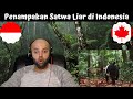 Forest Cam - Penampakan Satwa Liar di Hutan Indonesia | MR Halal Reaction