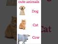 Cute animals | dogs | cat | cow