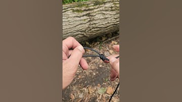 Snare Trap Knot #bushcraft #Trap #knot #bushcrafting #survival