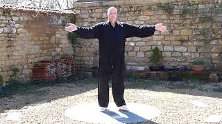 Le Phœnix Déploie Ses Ailes