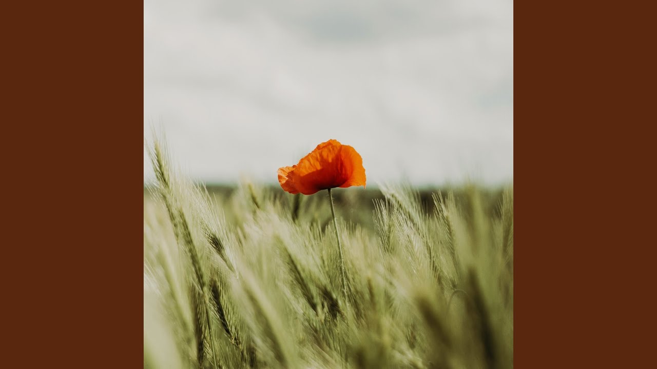 YouTube에서 Linger 보기 YouTube에서 Linger 보기