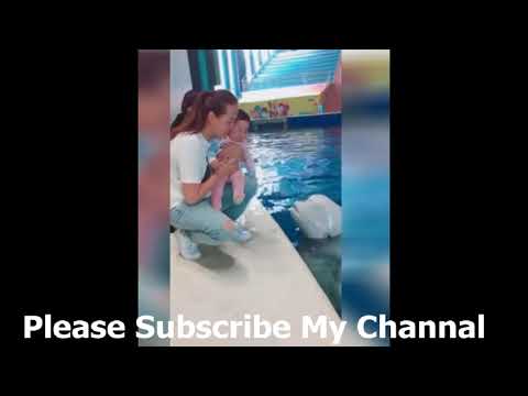 Baby Bursts Into Tears After Being Kissed By Beluga Whale
