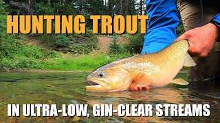 Hunting Trout: How To Find & Catch Trout in ULTRA-LOW, Gin-Clear Trout Streams (Fly Fishing Trout)