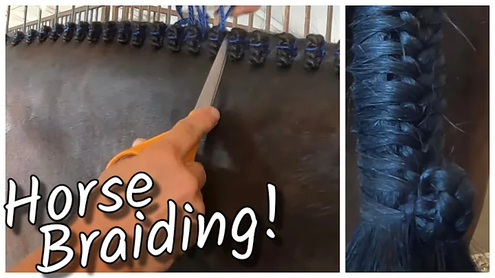 Watch a Professional Horse Braider braid a Hunter Jumper Horse - Mane, Tail & Forelock!!!