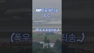 ana항공 b767 물꽃착륙