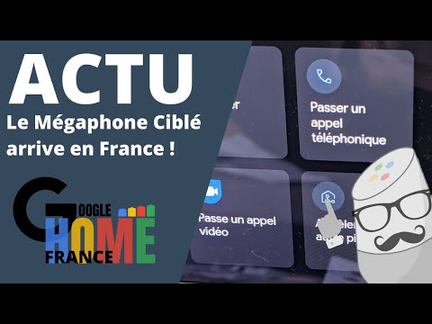 Vidéo: Est-ce que le mégaphone est un nom ?