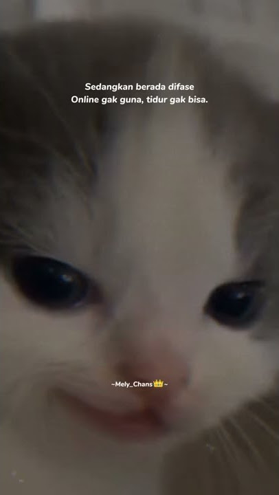 Online ga guna😑 •|#story #fypシ #status #storywa