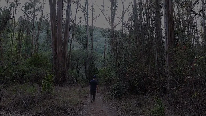 Larry Norris Decrim Nature