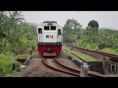 Watching this Java Island Local Trains:Pass every day with full Passengers | The Joglosemarkerto
