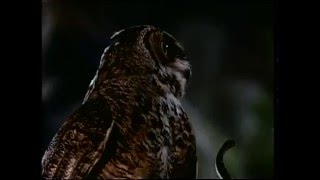 The Guardian 1990 - Hd Trailer 1080P