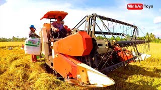 Rice Harvesters | Rice Combine Harvester | ♫ Song for kids in VietNam