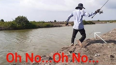 Câu cá chẽm Cần Giờ và pha chụp cá măng mém té đầm || Câu cá chẽm ở Cần giờ
