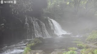 象潟の爽やかな風、水の音　元滝伏流水に漂う涼　秋田・にかほ