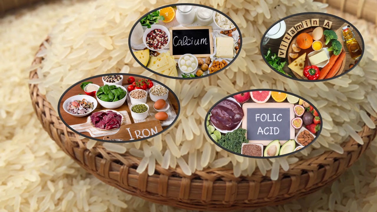 1st Place - 2020 Student Video Competition - Annegret Jannasch