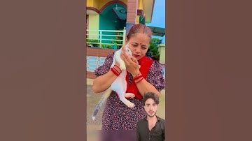 Didn’t See That Coming #shorts #shortsfeed #viralshorts