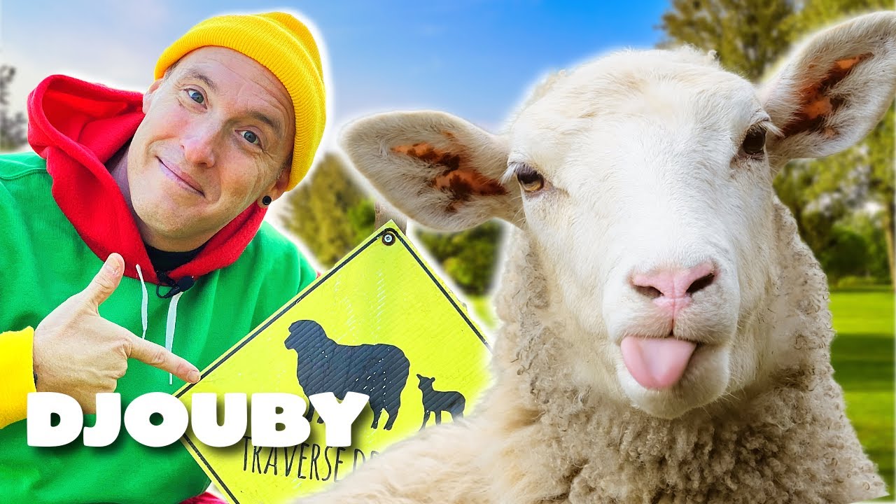 DJOUBY avec des moutons en pleine ville ? 🐑 | Vidéo éducative pour les enfants