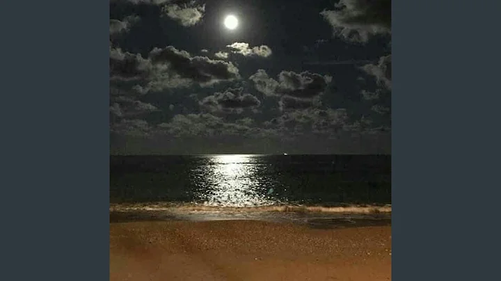 Turf Trap2 LVSL x Tally Master