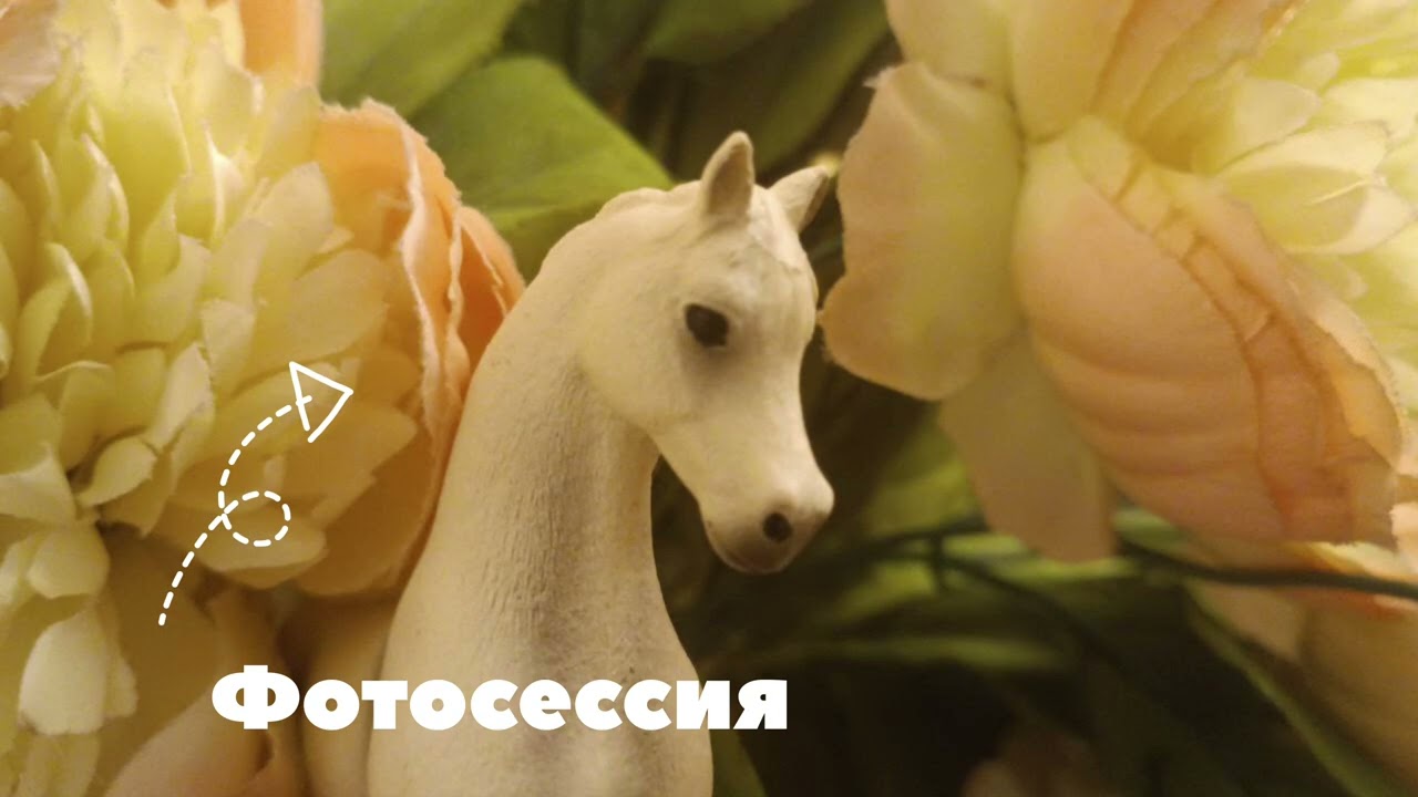 Фоточки с фотосессии 📷